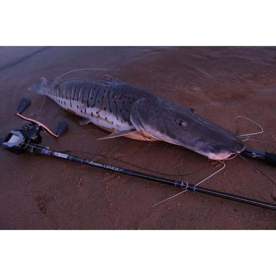 ツララ　Tulala Routes C69MH Routes C69MH – TULALA online store