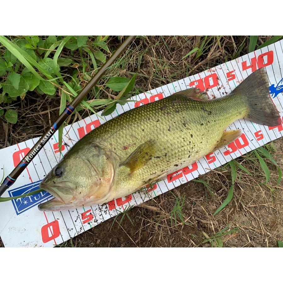 TULALA ツララ FLIGHTEX ルーツRoutes S68ML : ウインズヤフー店