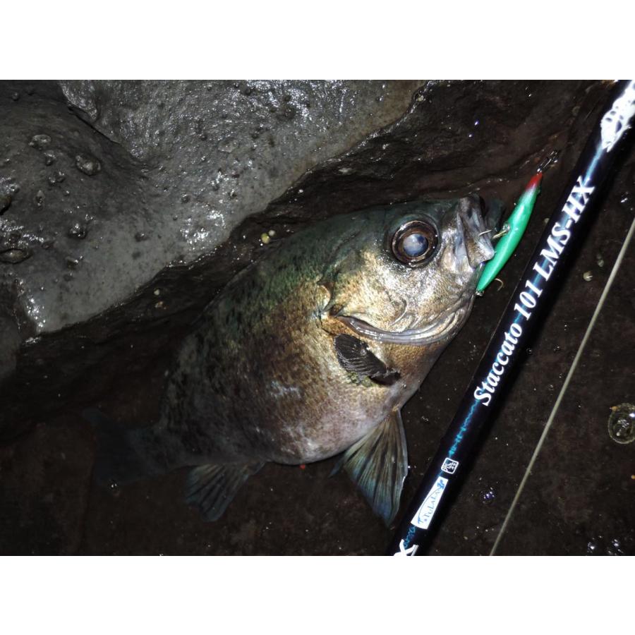 ツララ スタッカート 101 staccato101lms-hs TULALA | Ford every stream | » Staccato101LMS-HX