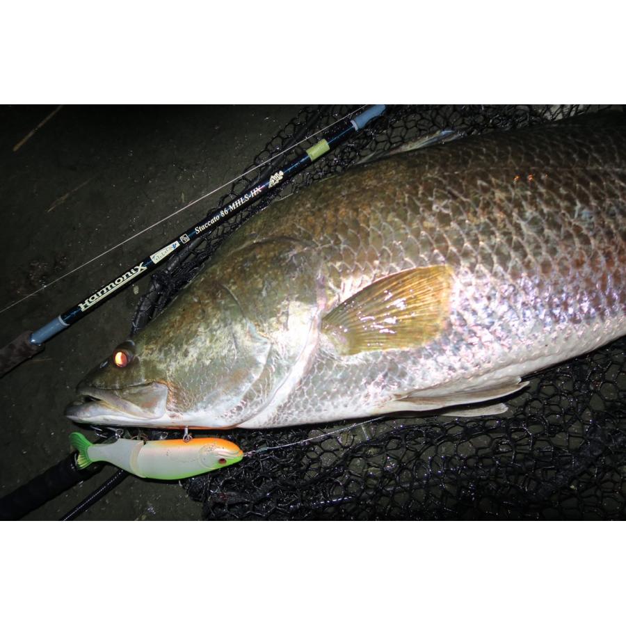 ツララ　スタッカート86 楽天市場】【10/4 20:00~P5倍】TULALA ツララ Staccato86MHLS-HX