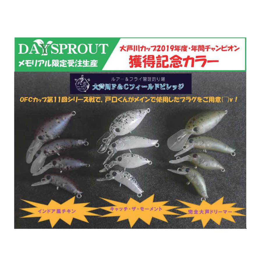 ディスプラウト チャタクラDR 大芦川カップ 記念カラー : ウインズ