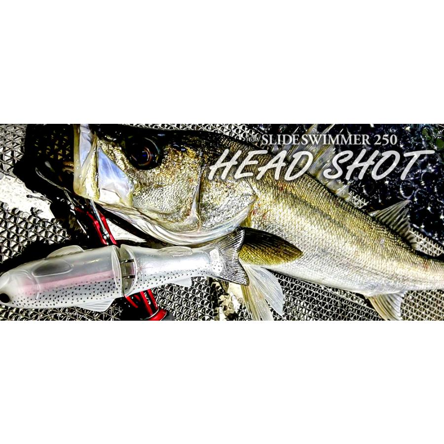 deps（デプス） NEWスライドスイマー250HS ヘッドショット : ウインズ