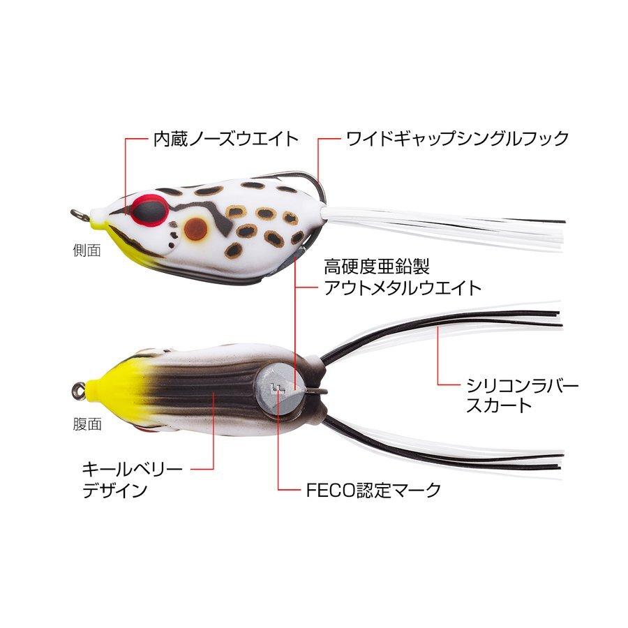 エバーグリーン　他セット EVERGREEN（エバーグリーン インターナショナル） - FACT ギズモボックス