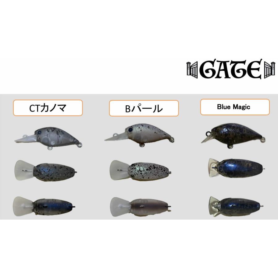 ゲートGATE XラッキークラフトLuckyCraft ディープクラピーLC-MAX SS | LUCKY CRAFT