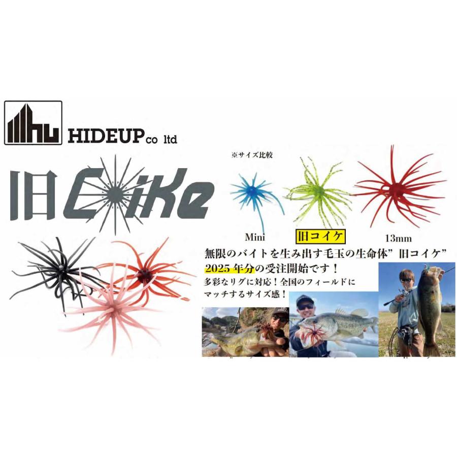 HIDEUP ハイドアップ 旧コイケCoike : ウインズヤフー店 - 通販
