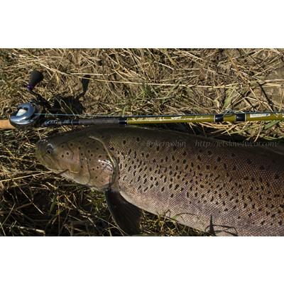 TULALA ジェットセッター ジェットセッターJet Setter 78C : ウインズ