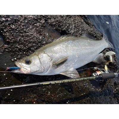 ジャンプライズ オールウェイク110スーパーマルチ | tspea.org