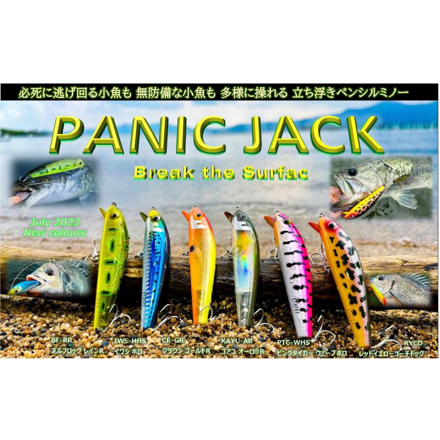windsweb2_lineslack-panicjack-2023