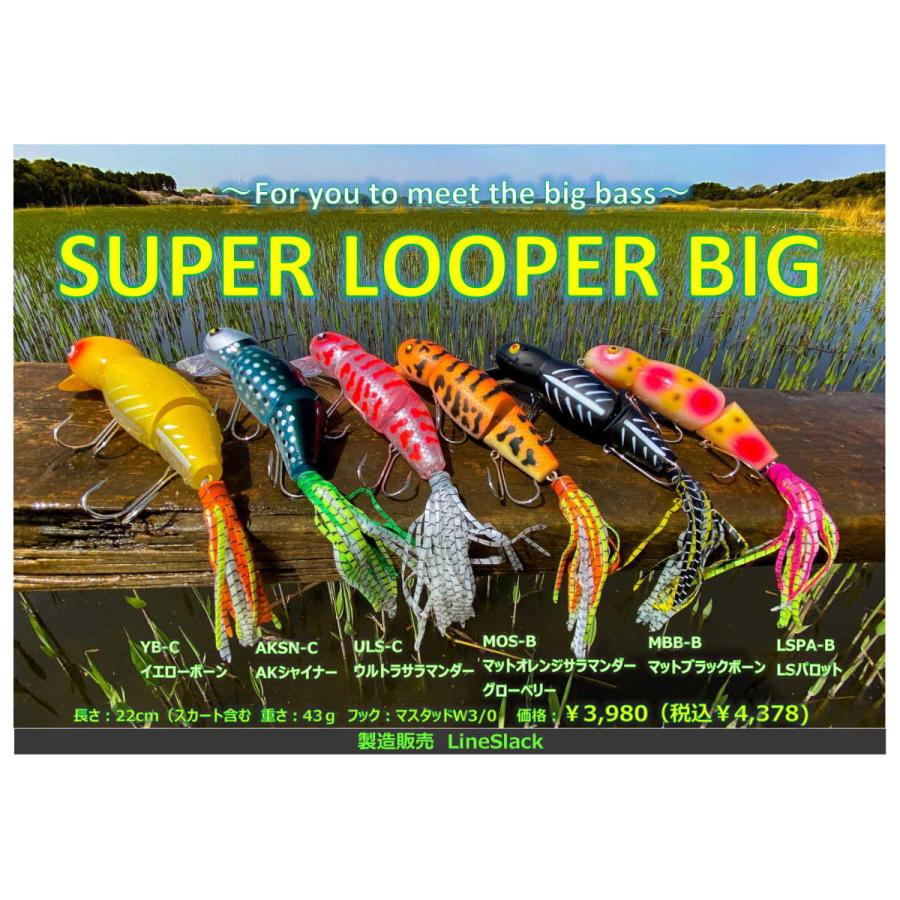 ラインスラック スーパールーパービッグ ラインスラック スーパールーパーBIG 2021年カラー : ウインズヤフー店