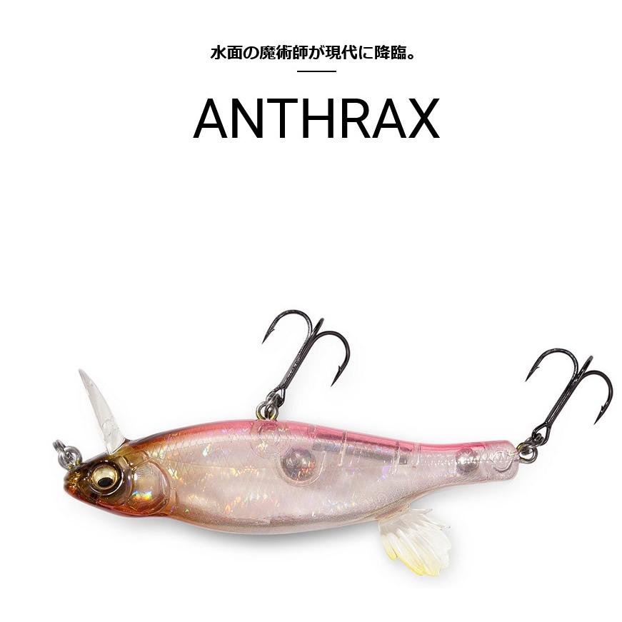 Megabass（メガバス） アンスラックスANTHRAX M KAWAMUTSU : ウインズ