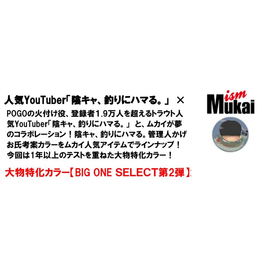 MUKAI FISHING（ムカイフィッシング） ムカイ トレモ ロング55F(EX