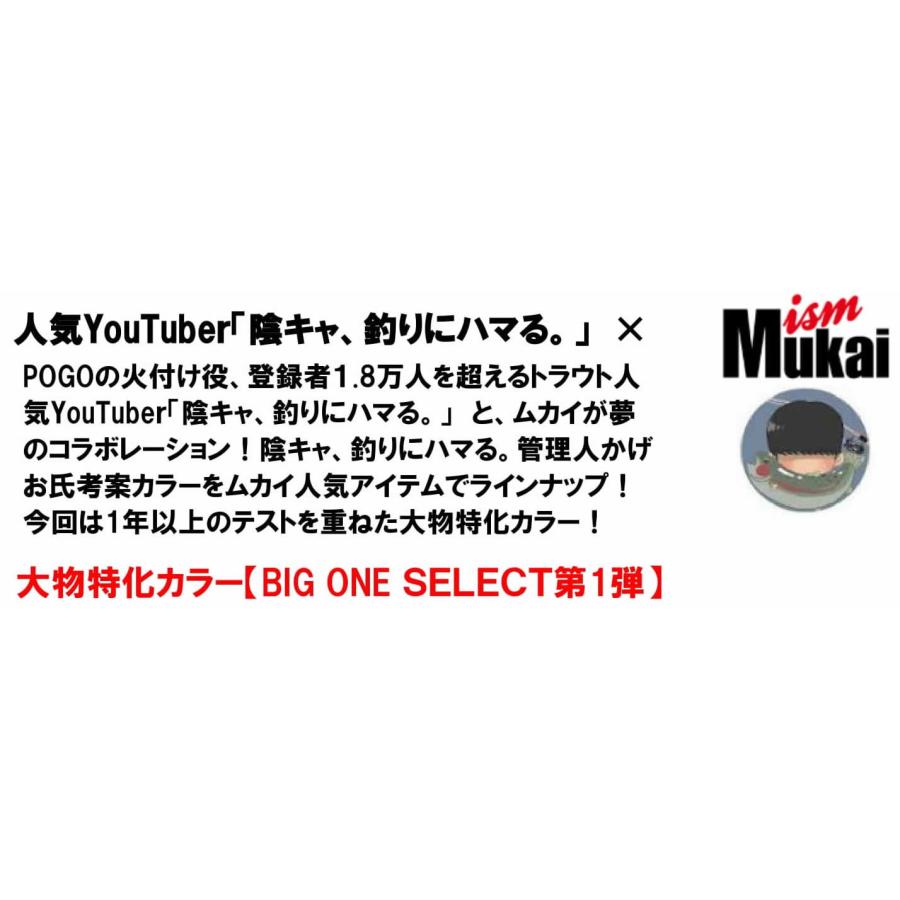 MUKAI FISHING（ムカイフィッシング） ムカイ スナックSnaQ33DR(F