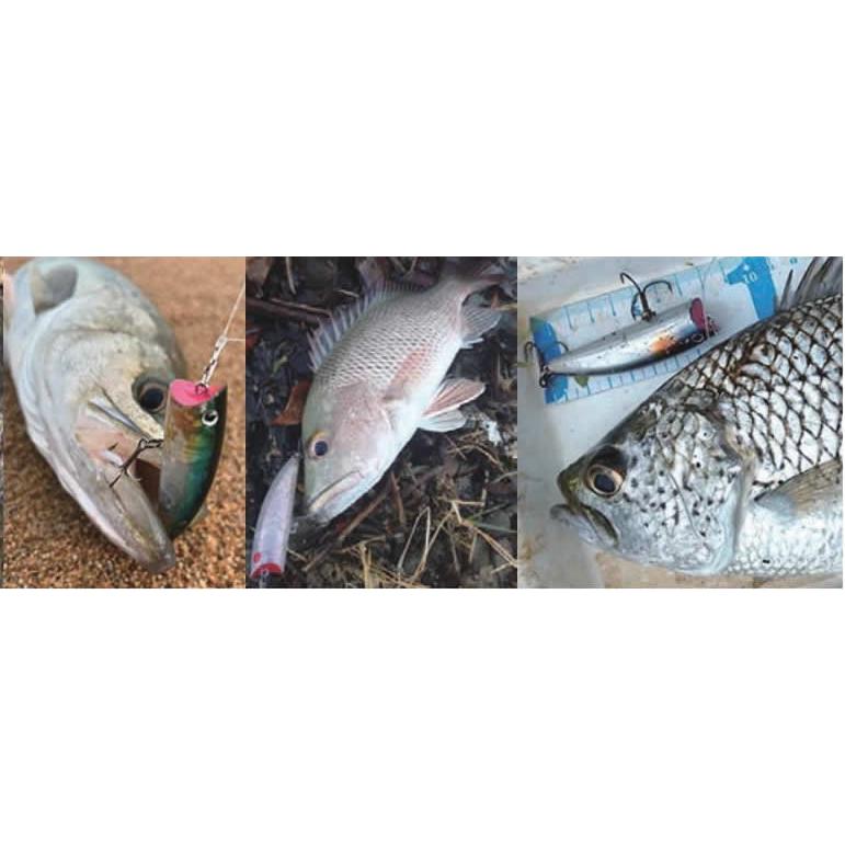 サムルアーズ サムポッパーSUM POPPER : ウインズヤフー店 - 通販