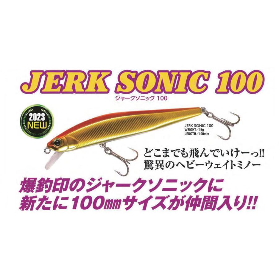 WaterLand（ウォーターランド） ジャークソニック100S スーパーヘビー