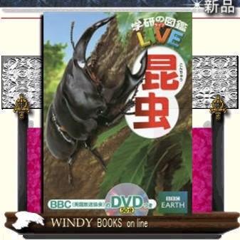 昆虫 ギガランキングｊｐ