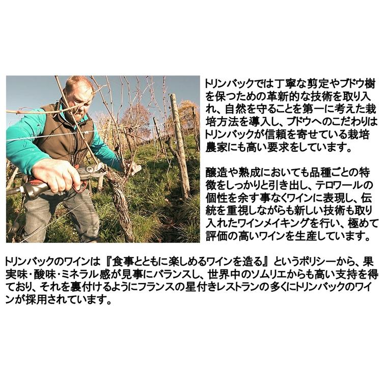 トリンバック リースリング 2022年 (エノテカ ワイン 白ワイン フランス アルザス 辛口) |  | 02