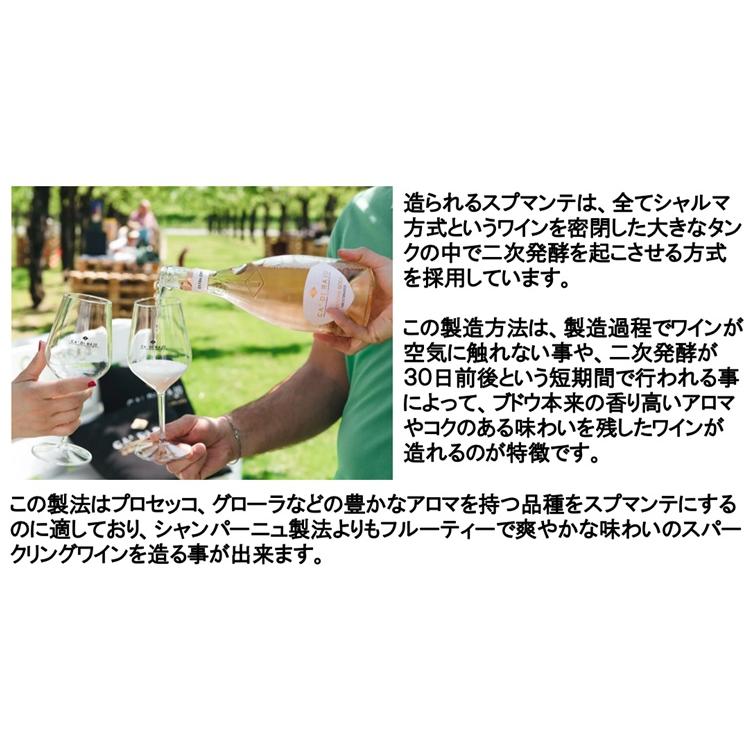 イプシロン スプマンテ ブリュット ゴールド NV 750ml (エノテカ カディ ライオ スパークリングワイン) |  | 02