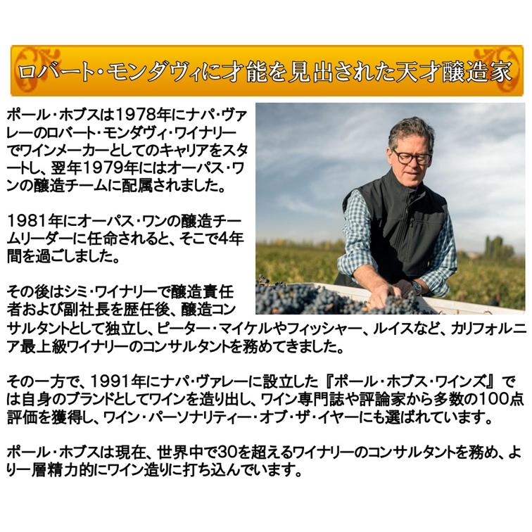 (オーパス ワンの元醸造チームリーダーが手掛ける ワイン 赤ワイン) フェリーノ カベルネ ソーヴィニヨン メンドーサ 2022年 ポイント利用 |  | 03