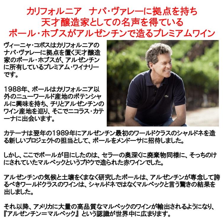 (オーパス ワンの元醸造チームリーダーが手掛けるワイン 白ワイン) フェリーノ シャルドネ メンドーサ 2023年 ポイント利用 |  | 02