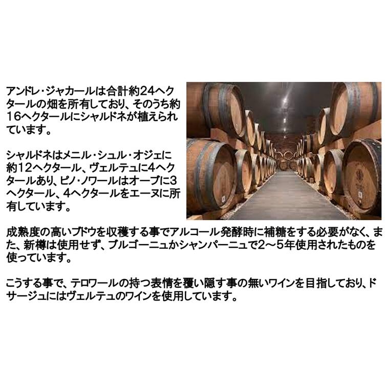 (プティ サロンと称されているシャンパンメゾン ギフト包装不可) アンドレ ジャカール ソレラ プルミエ クリュ ブラン ド ブラン 木箱入り |  | 03