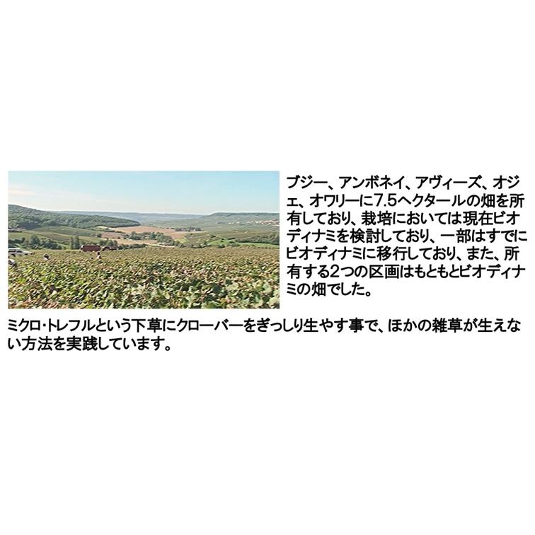 (正規品 限定品 シャンパン) ダヴィド クートラ キュヴェ 1813 エクストラブリュット 2012年 750ml 木箱入り ポイント利用 |  | 02