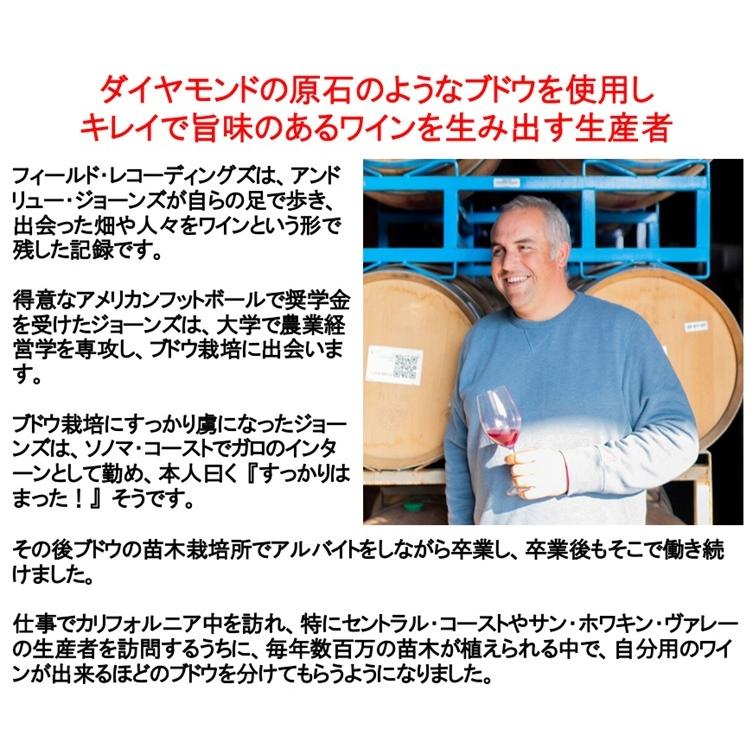 (ワイン 白ワイン) フィールドレコーディングズ　シュナン セントラル コースト 2022年  添加物なし SO2は最低限添加 野生酵母 ヴィーガン ポイント利用 |  | 01