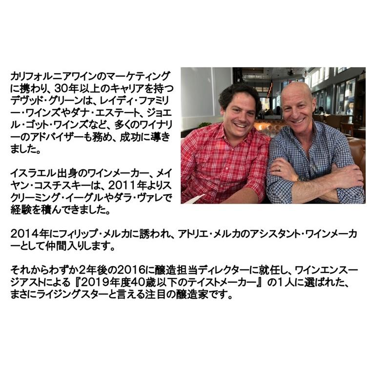 (数量限定特価 ダラ ヴァレ スクリミングイーグルの経験を経てブリリアント ミステイクを造る醸造家 ワイン 赤ワイン) スラム ダンク 2021年 ポイント利用 爆買 |  | 03