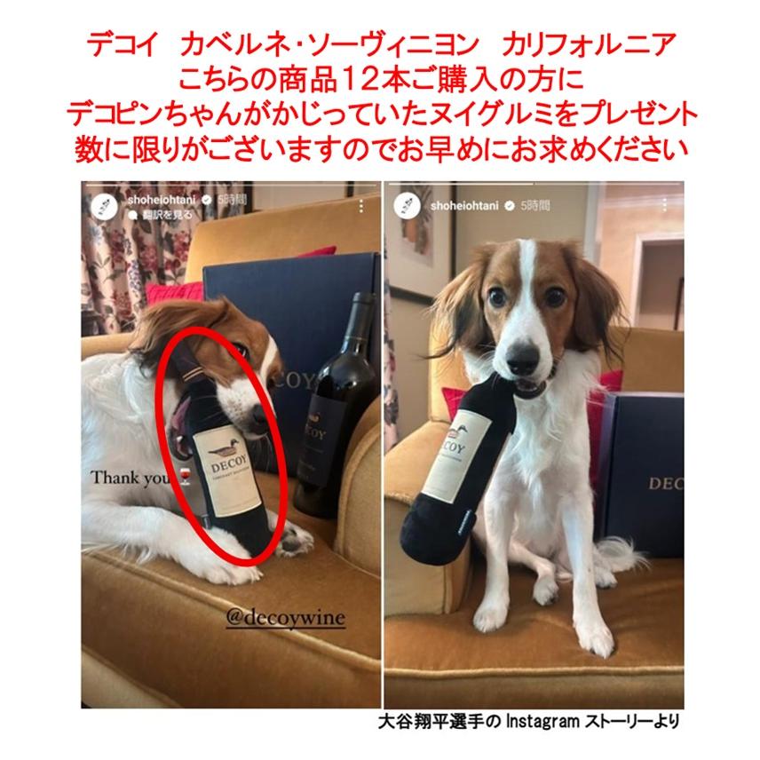 (大谷翔平 先着順 12本ご購入で非売品ヌイグルミプレゼント ワイン 赤ワイン) デコイ カベルネ ソーヴィニヨン カリフォルニア 2023年 (Decoy 爆買) |  | 01