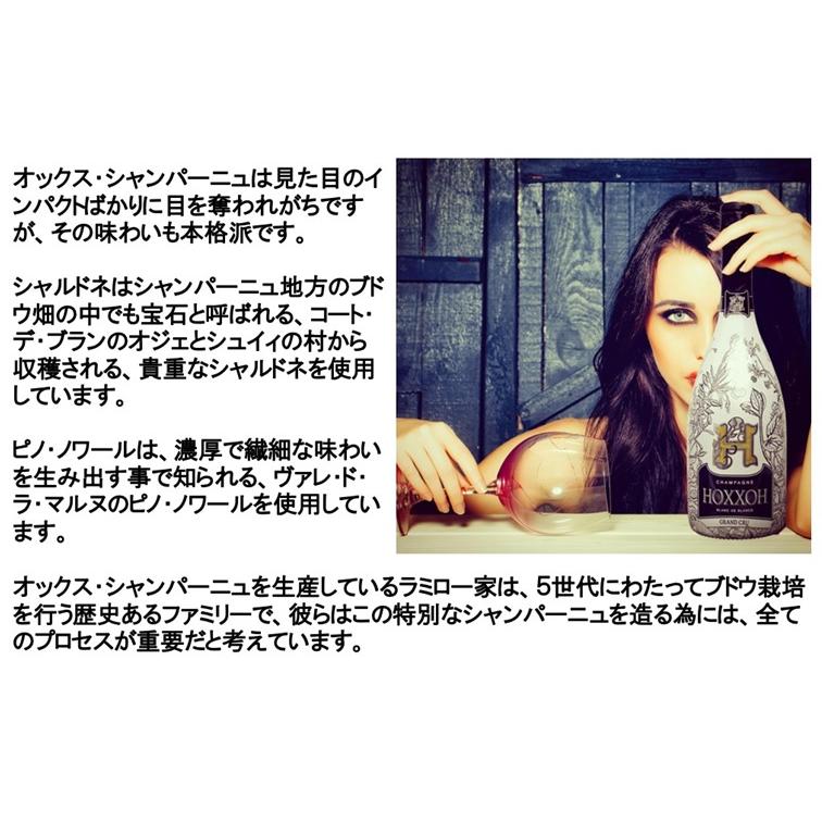 (アルマンドブリニャック エンジェル ソウメイに続く 7色に光るシャンパン) オックス シャンパーニュ ロゼ ルビー ボックス入り (ルミナスボトル) |  | 06