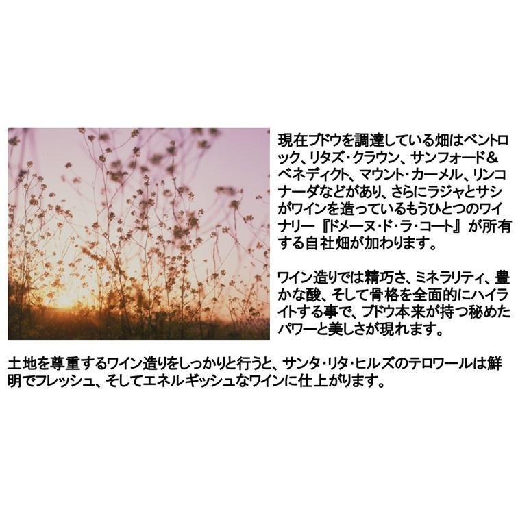 (ドメーヌ ド ラ コート(DDLC) をブレンドしたワイン 白ワイン) サンディ シャルドネ セントラル コースト 2021年 ポイント利用 爆買 |  | 03