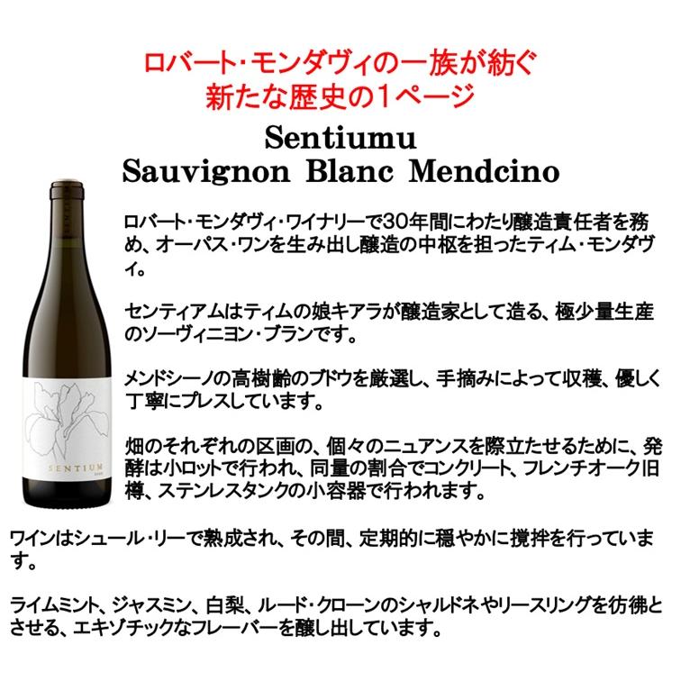 (オーパス ワンを生んだ醸造家の娘が手掛けるワイン 白ワイン コンティニュアム) センティアム ソーヴィニヨン ブラン メンドシーノ 2023年 ポイント利用 爆買 |  | 01