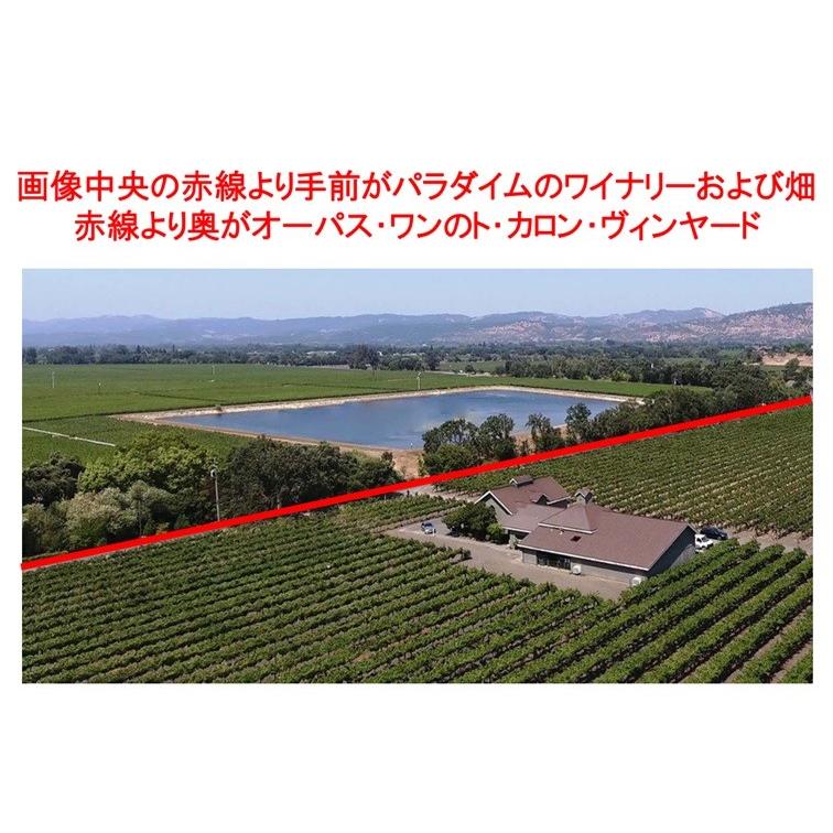 (ケンゾー エステートの元醸造家がオーパス ワンの隣の畑で造るワイン ナパバレー) パラダイム ロゼ オブ メルロー オークヴィル ナパ ヴァレー 2024年 爆買 |  | 07
