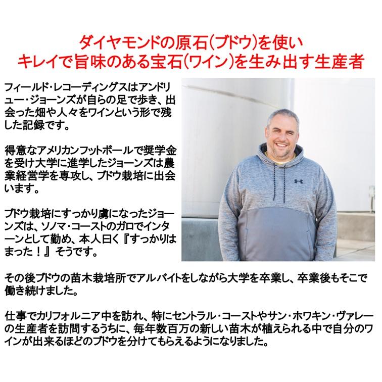 (数量限定特価 アメリカで1番売れているオレンジワイン ワイン) フィールド レコーディングズ スキンズ セントラル コースト 2024年 ポイント利用 爆買 |  | 02