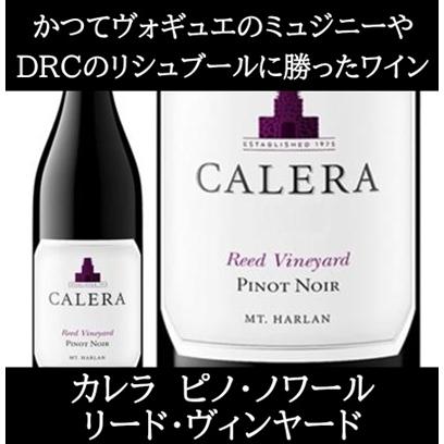 (カリフォルニアのロマネ コンティと称されるワイナリー ワイン 赤ワイン) カレラ ピノ ノワール マウント ハーラン リード ヴィンヤード 2020年 エノテカ | 