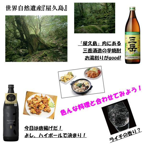 芋焼酎 芋 焼酎 いも 三岳 だいやめ 飲み比べセット 900ml×2本 送料