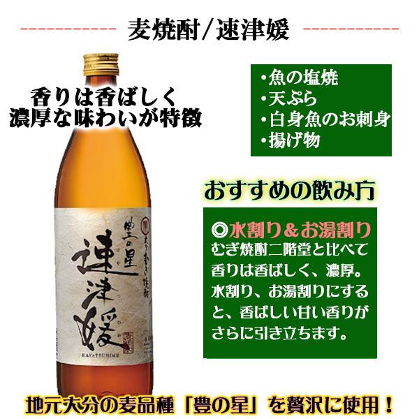 麦焼酎　二階堂　　900mlX12本セット 二階堂 麦焼酎 25度/900ml 瓶 12本 - お酒のおくりもの「喜贈」