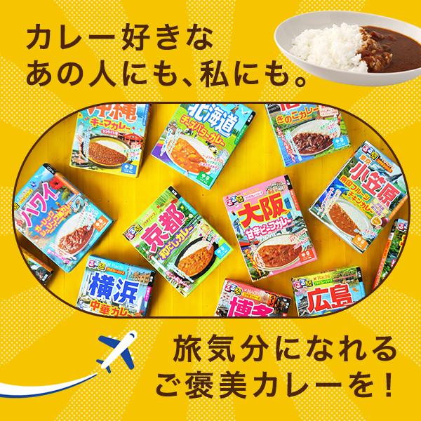 エスビー食品 レトルトカレー 詰め合わせ 中辛 14食セット 送料無料