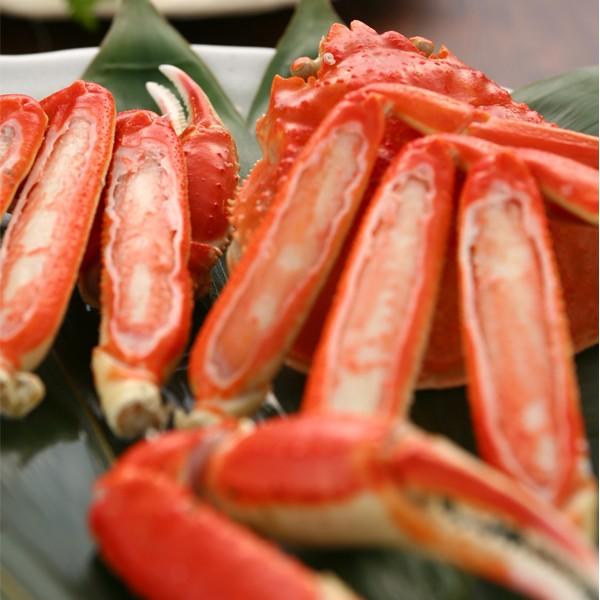 ギフト 産地直送 かに ズワイガニ 送料無料 ずわい蟹 K910020『KMJ