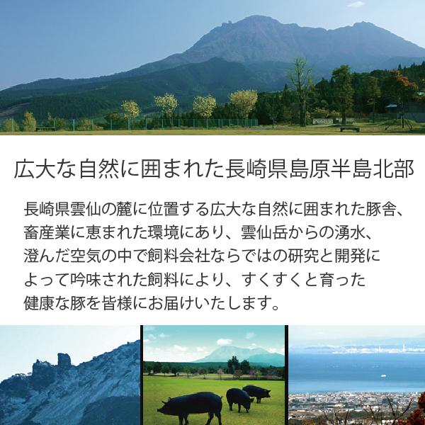 お歳暮 御歳暮 2023  ハムギフト 長崎 雲仙 国産 冷蔵直送 送料無料 にくせん NPG-03 肩ロースハム 1.8kg『NKS』｜wine-com｜04