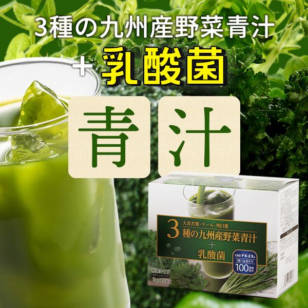 乳酸菌が入った青汁3箱 世田谷自然食品 乳酸菌が入った青汁 3箱セット 乳酸菌が入った