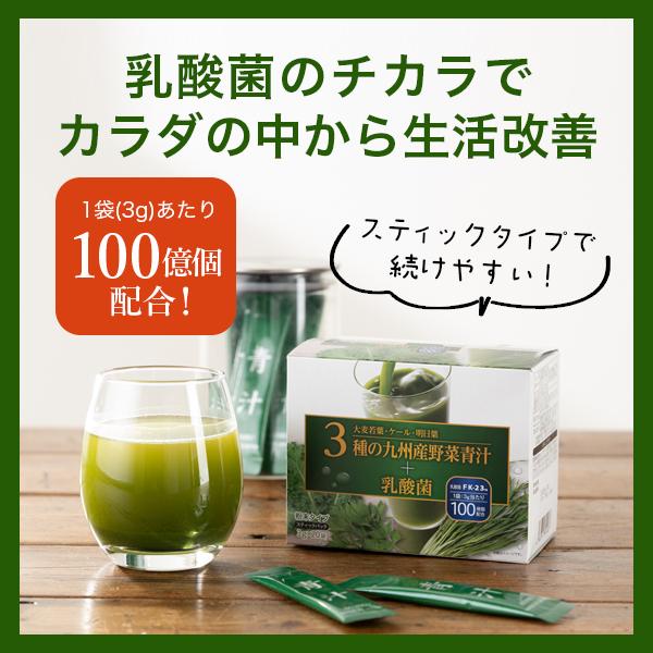 青汁 乳酸菌 粉末タイプ 送料無料 3種の九州産野菜青汁＋乳酸菌 3g×20