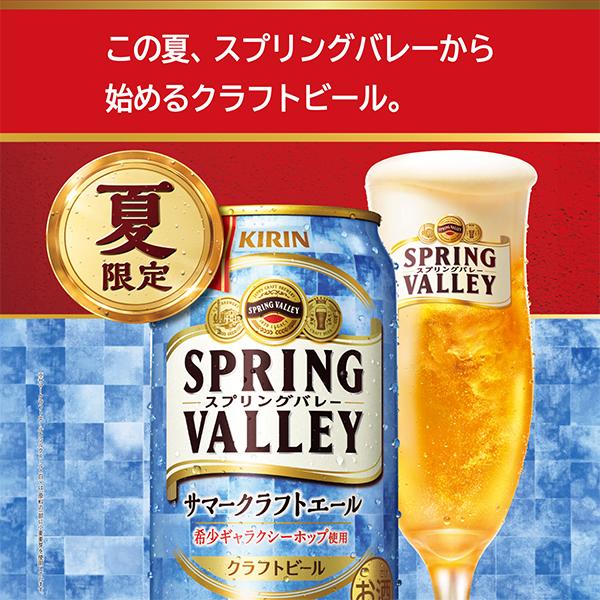 キリン（KIRIN） クラフトビール beer 送料無料 スプリングバレー