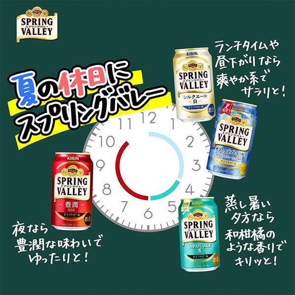 キリン（KIRIN） クラフトビール beer 送料無料 スプリングバレー