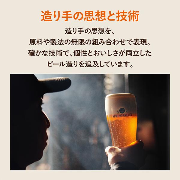 キリン（KIRIN） クラフトビール beer 送料無料 スプリングバレー