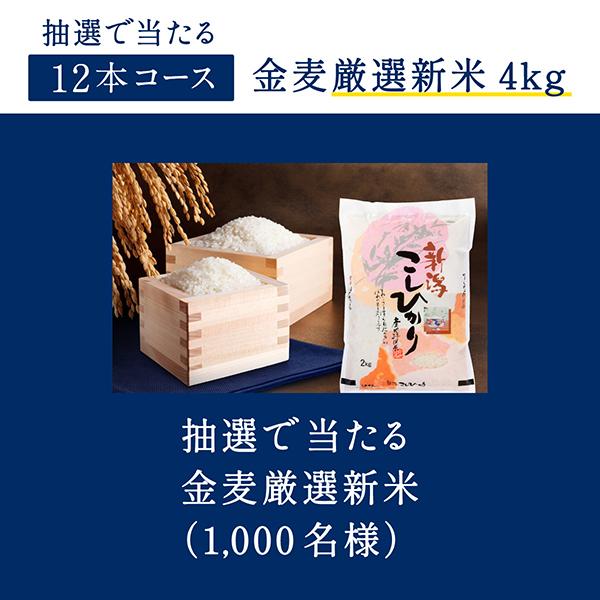 SUNTORY（サントリー） 2026年7月21日限定発売 カップヌードルの具だけ