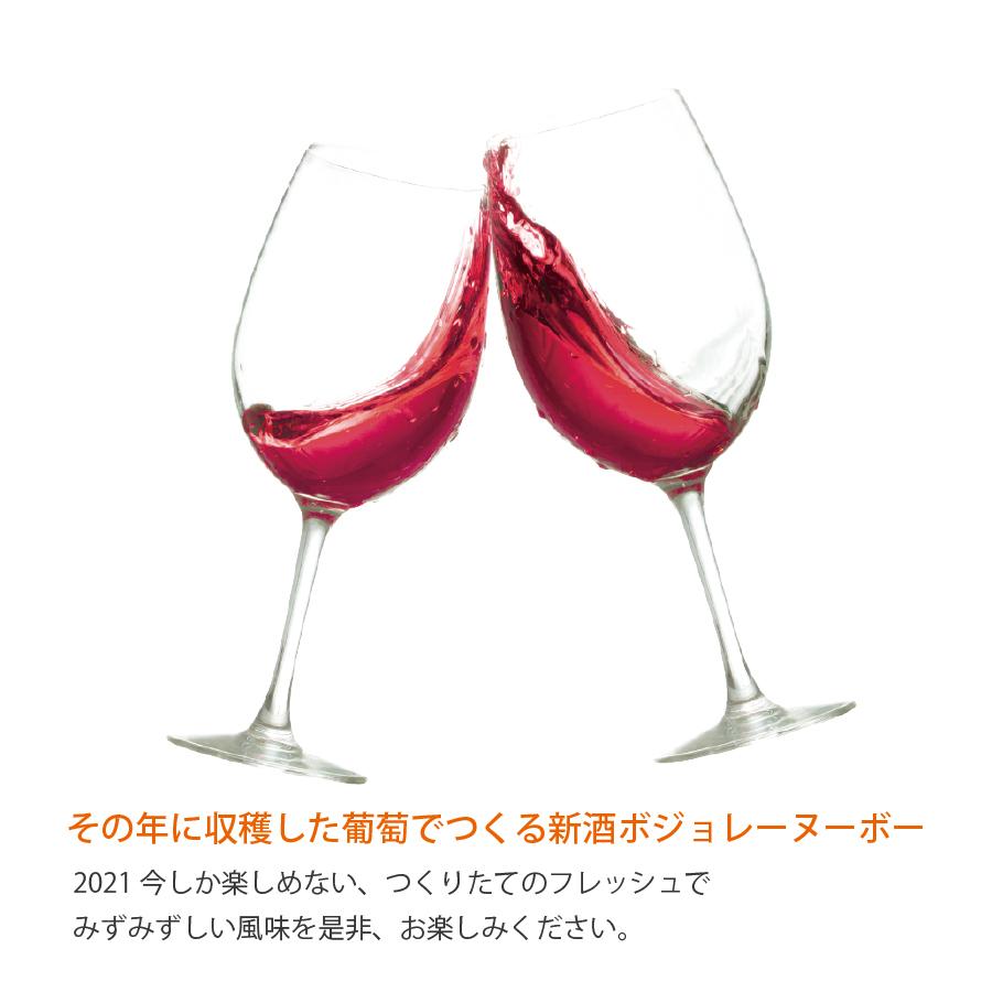 ジョルジュ・デュブッフ ワイン wine ボジョレー ヌーボー 2021 ジョルジュ・デュブッフ ワイン wine ボジョレー ヌーボー 2021