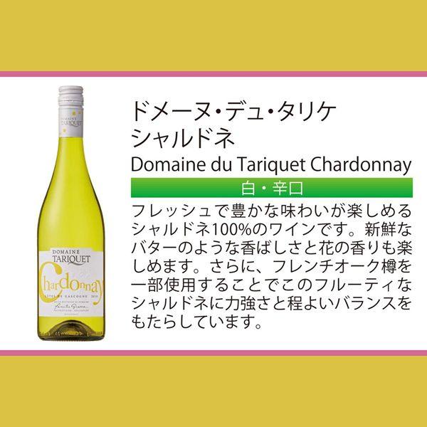 シーフードに合うワイン 白ワイン wine サッポロ ドメーヌ タリケ シャルドネ 750ml×1本『FSH』フランスワイン｜wine-com｜02