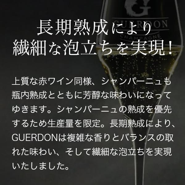 シャンパン ワイン プレミアム シャンパーニュ 送料無料 ガードン