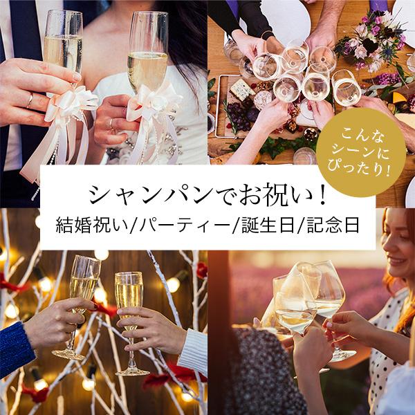 シャンパン ワイン プレミアム シャンパーニュ 送料無料 ガードン