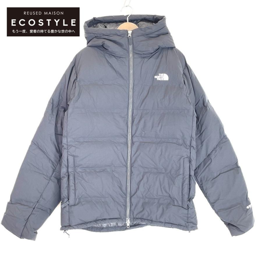 THE NORTH FACE 美品/正規 ノースフェイス ND91915 PERTEX GORE-TEX 